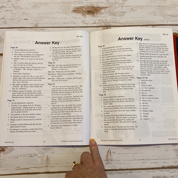 The Cay Novel and Unit Study - Picture 8 of 8